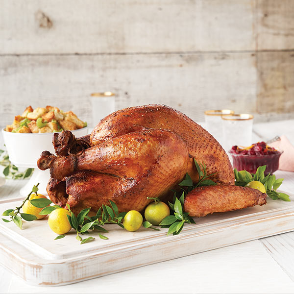 roasted holiday turkey