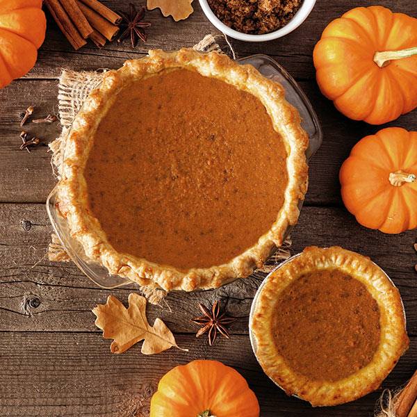 fresh pumpkin pie
