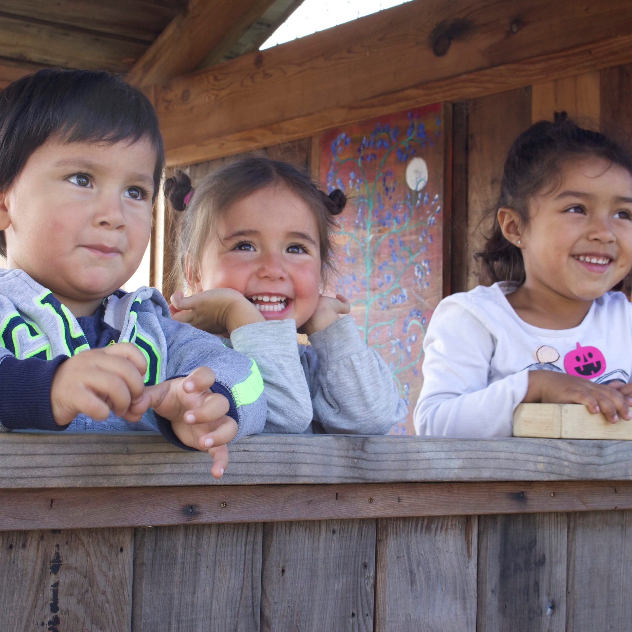 the impact of envirotokens at new leaf community markets 