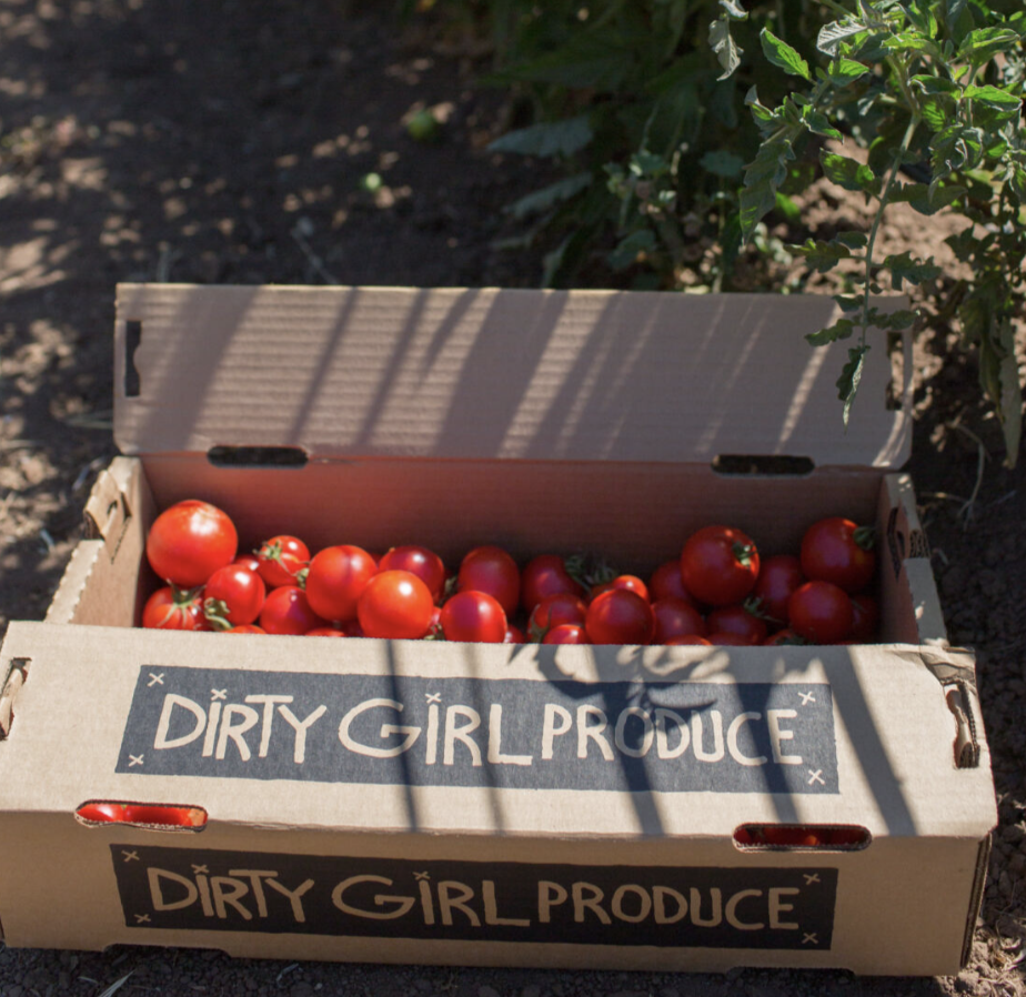 dry-farmed tomatoes new leaf community markets