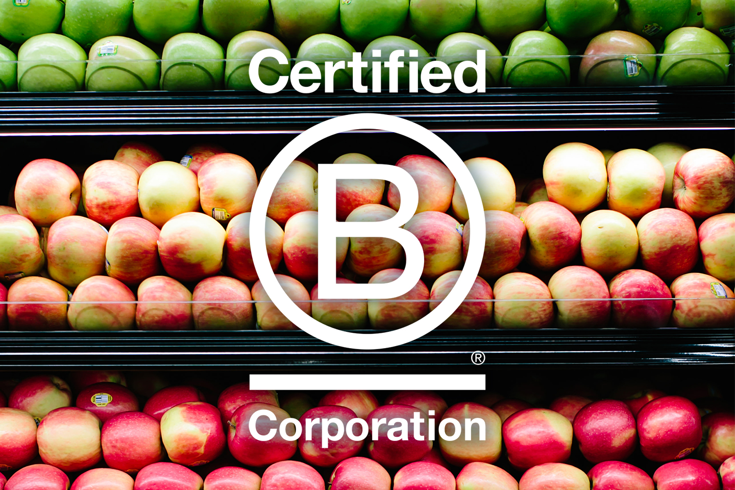 bcorp logo