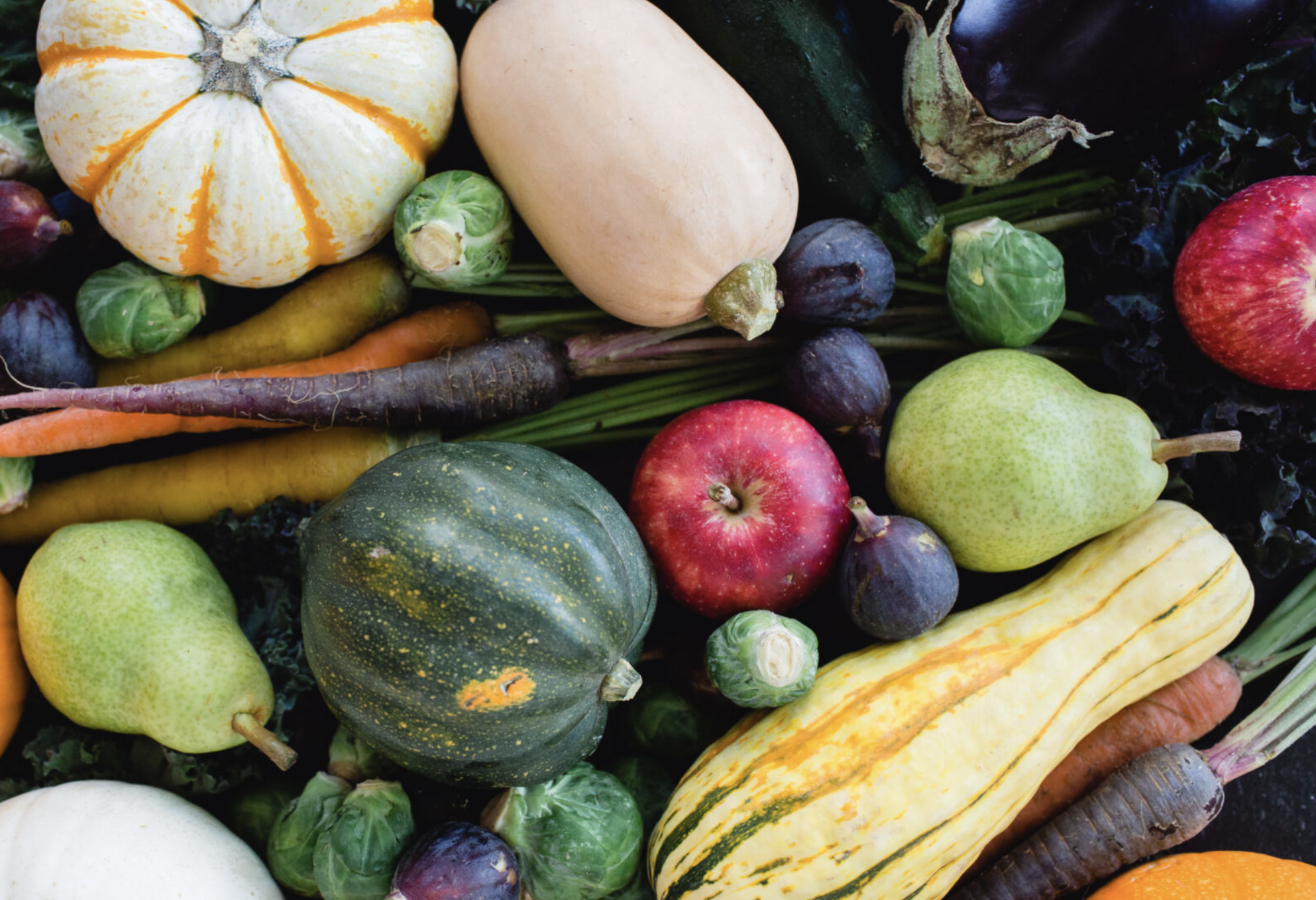 Fall Harvest