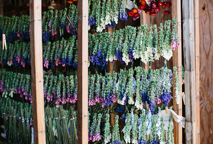 dried flowers hanging in a barn