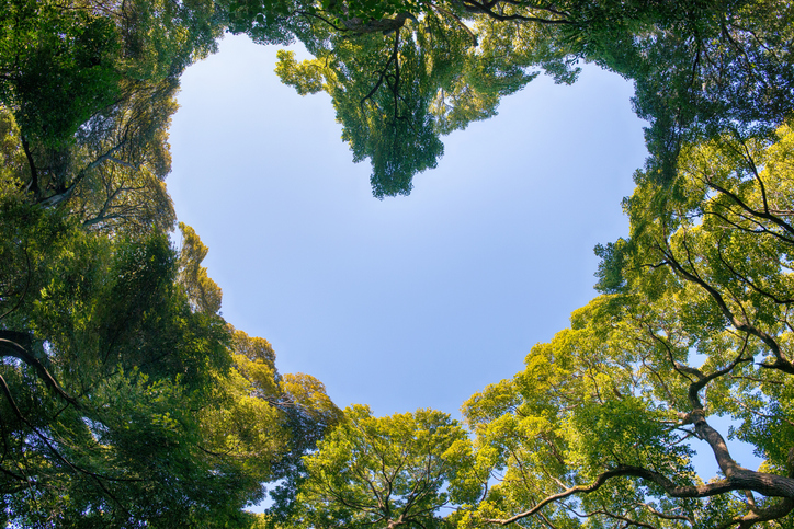 Earth Day, Every Day: How We Champion Sustainability Year-Round at New Leaf Community Markets 